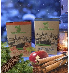 bib_hutzenobndwintertraam